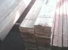 PAPAN